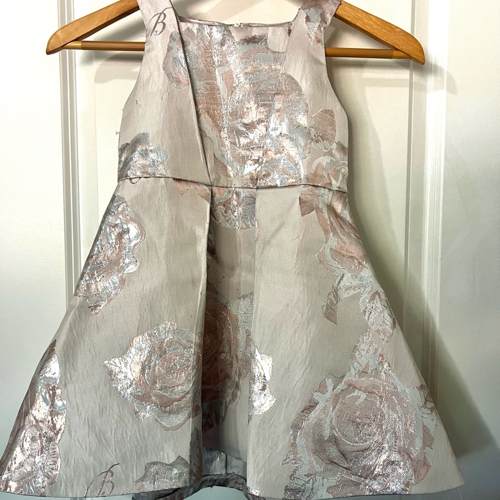 Ted Baker Pink and Silver Dress